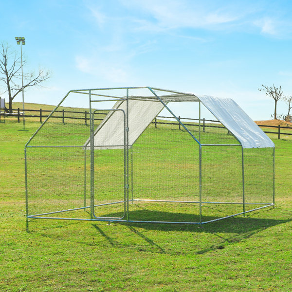 Tucker Murphy Pet™ Walk In Chicken Coop With Canopy & Reviews Wayfair